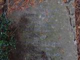 image of grave number 954301